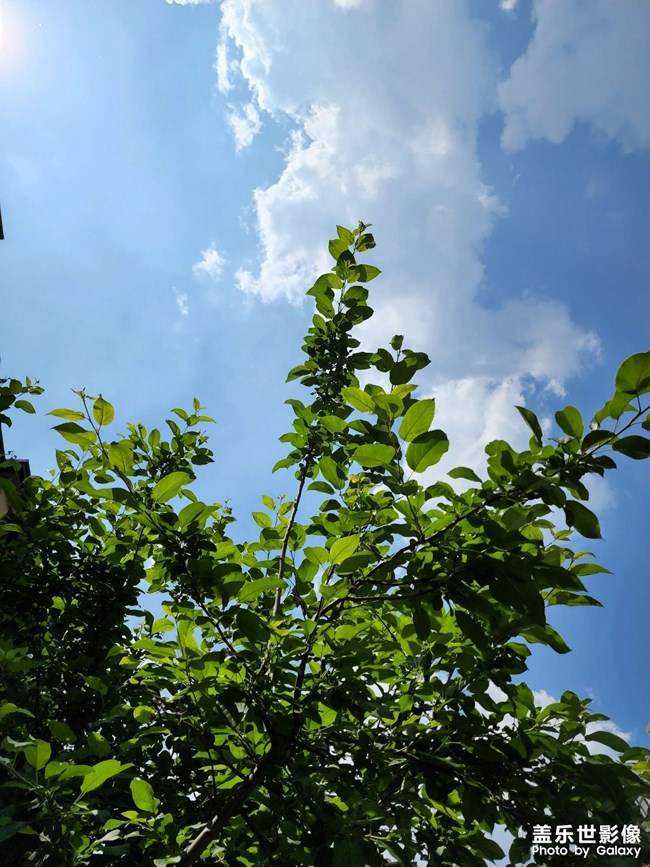 藍藍的天空