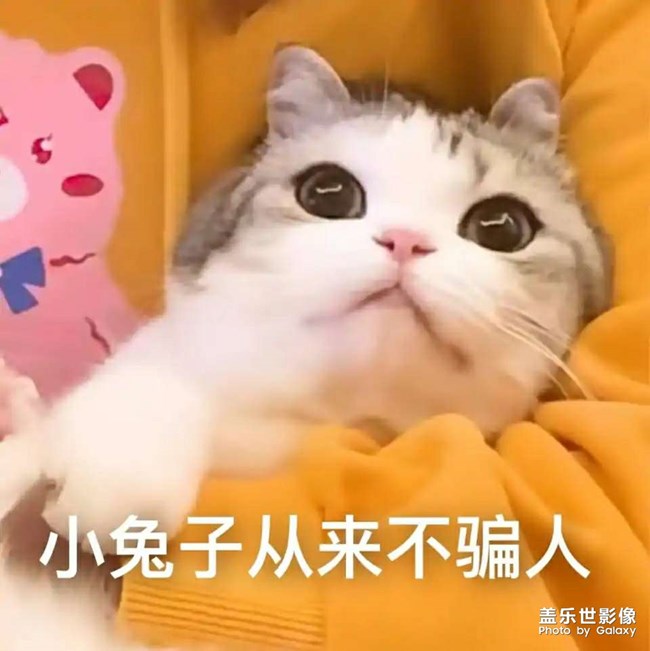可愛呢