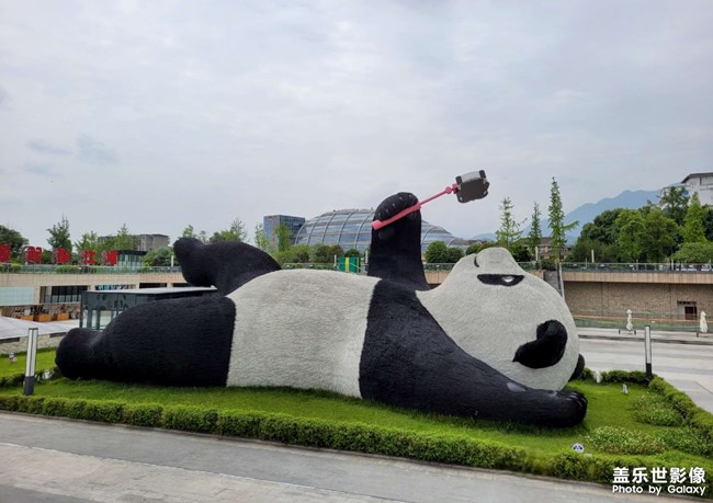 愛自拍的大熊貓