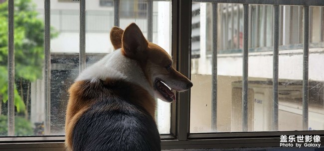 哈哈哈，人像模式可以的
