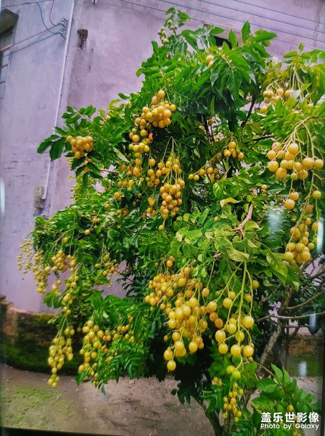 喜歡在家