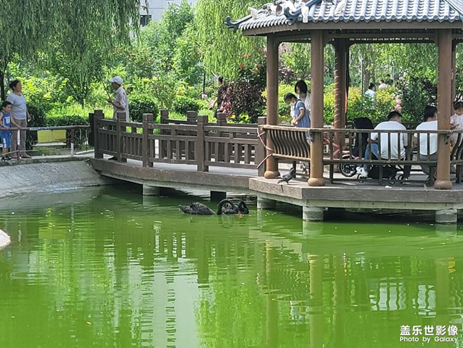 小區(qū)的寵愛(ài)