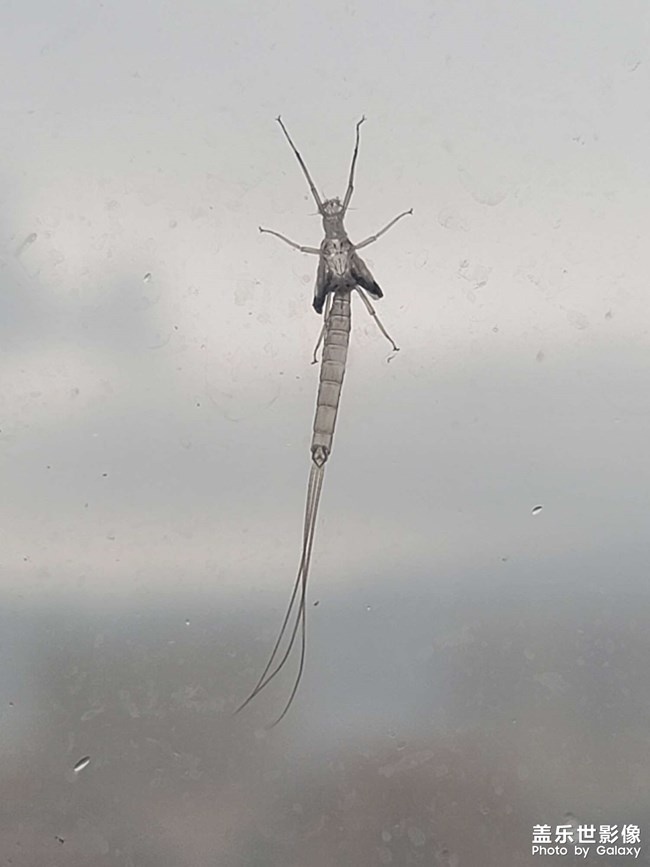 單身久了看啥都眉清目秀的