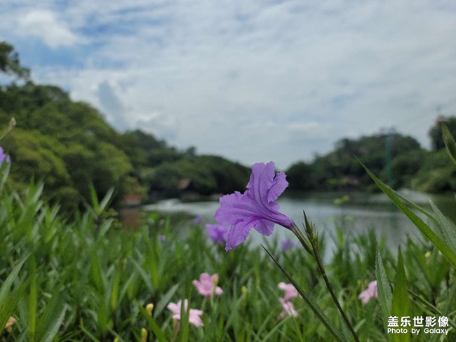 廣州長(zhǎng)隆動(dòng)物世界