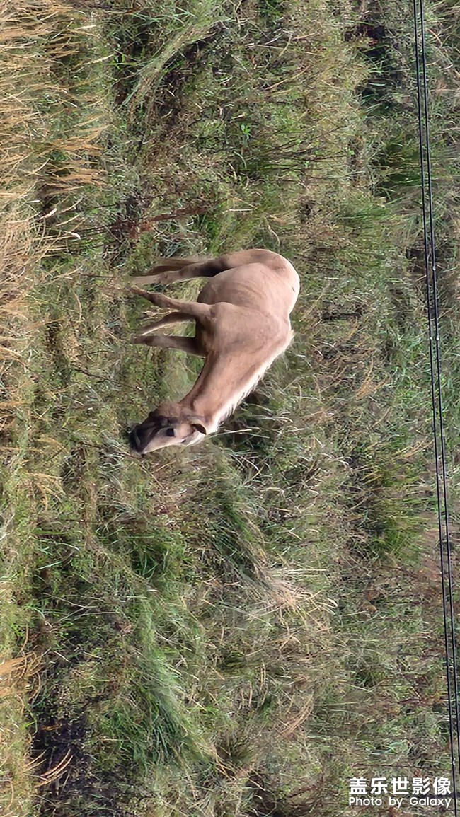隨手拍個(gè)馬??