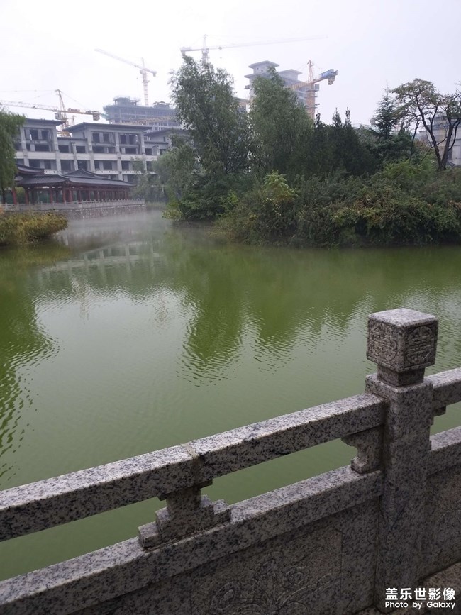 隨招