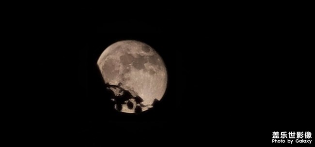 今晚的月亮有點美