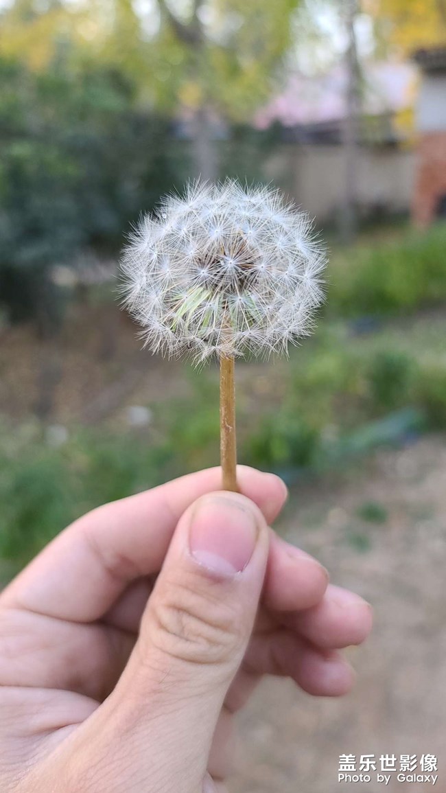 隨拍