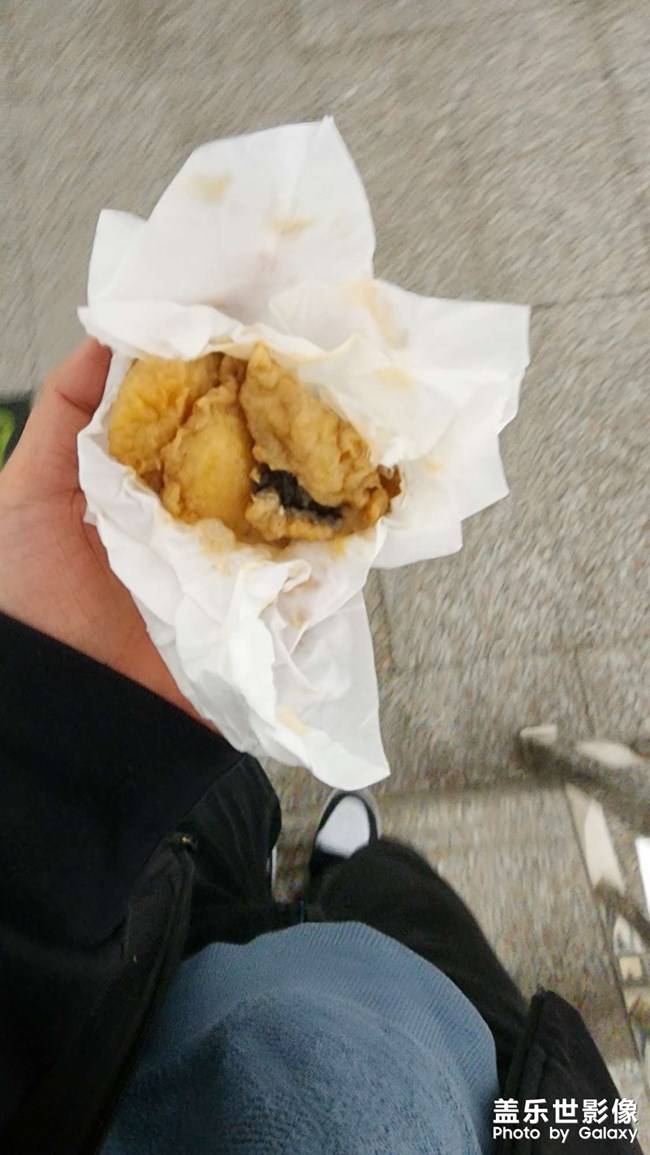 公司的小貓老了??有點可憐