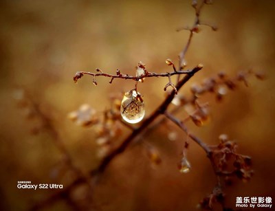 【難忘2022】珍珠如玉顏如霜