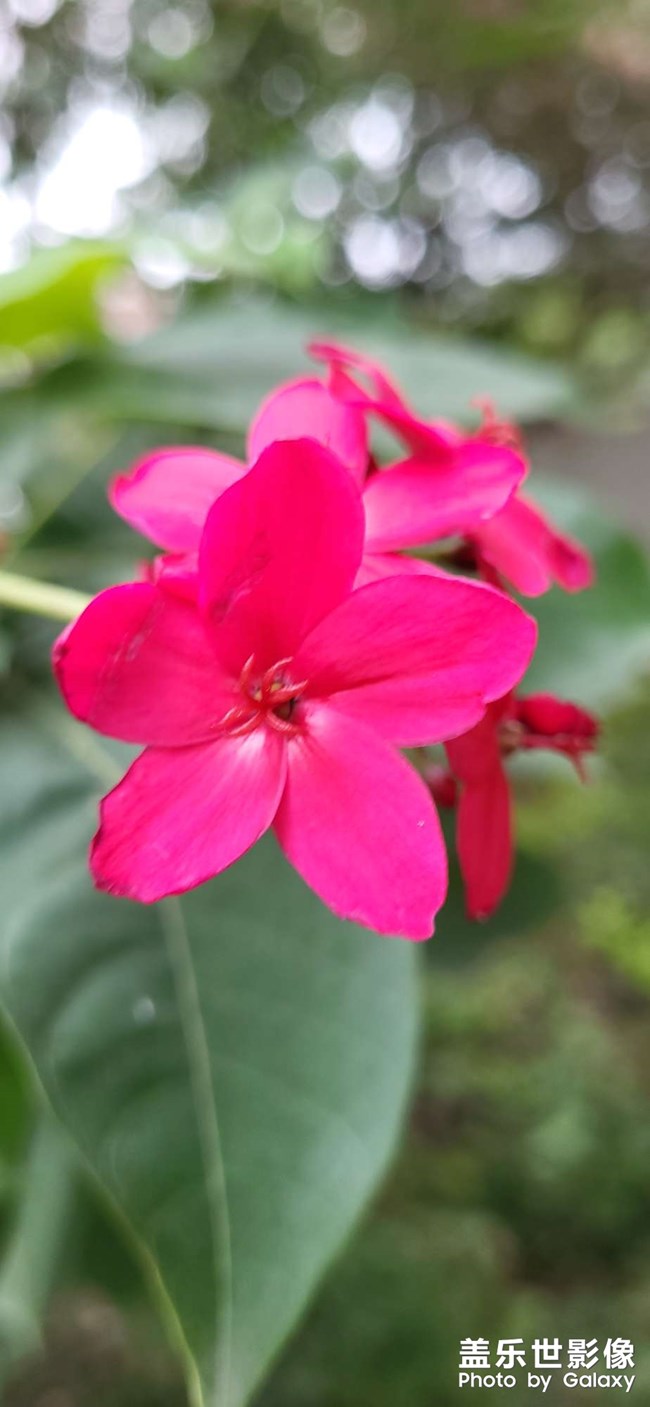 三星S21FE終于升級(jí)了