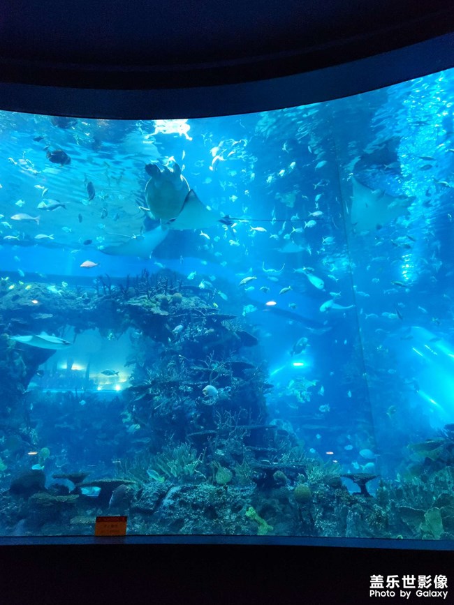 動物園