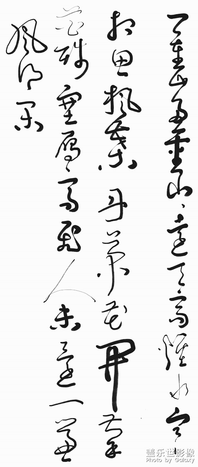 長相思spen書