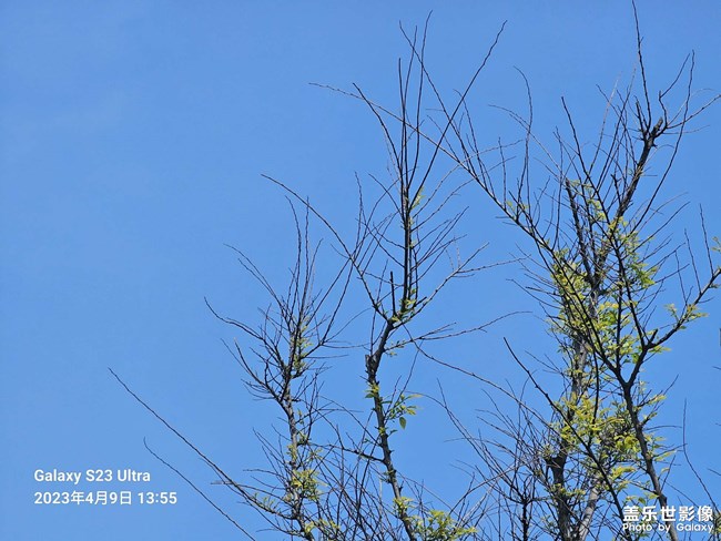 s23ultra.續(xù)航真的比s22ultra好多了