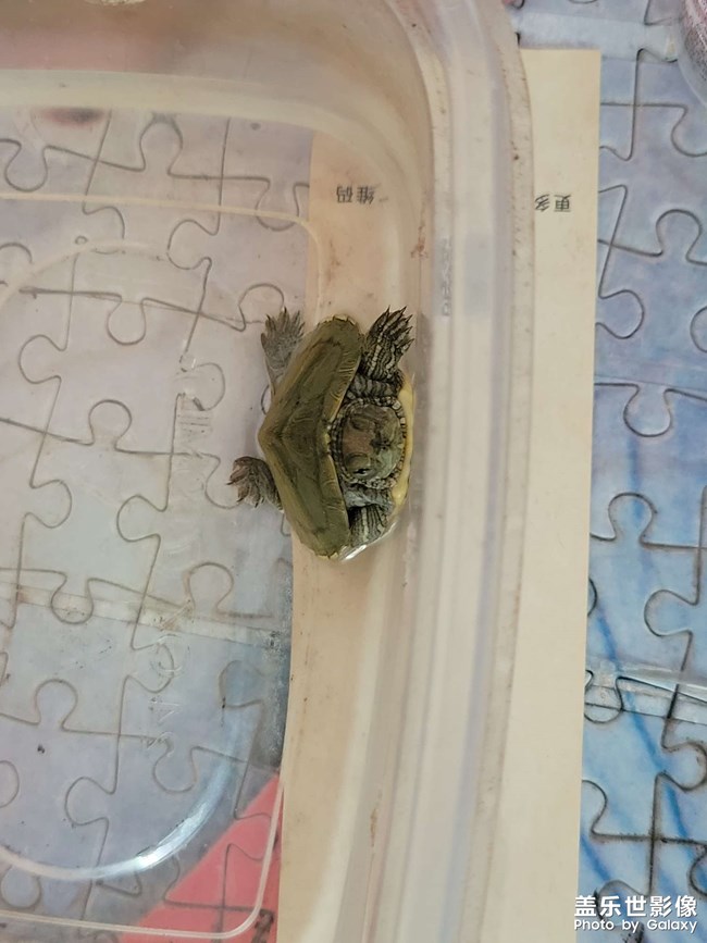 笑死了