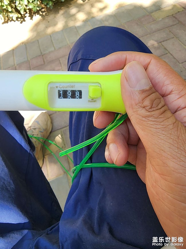 每天早上堅持鍛煉