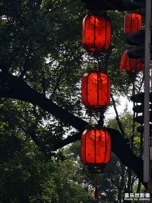 【光陰的故事】燈籠