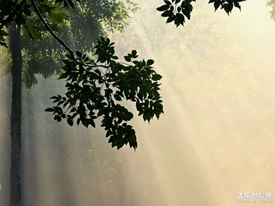 【影像的魅力】美麗的丁達(dá)爾現(xiàn)象