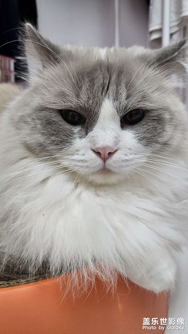 快樂隨拍——憨憨小西瓜