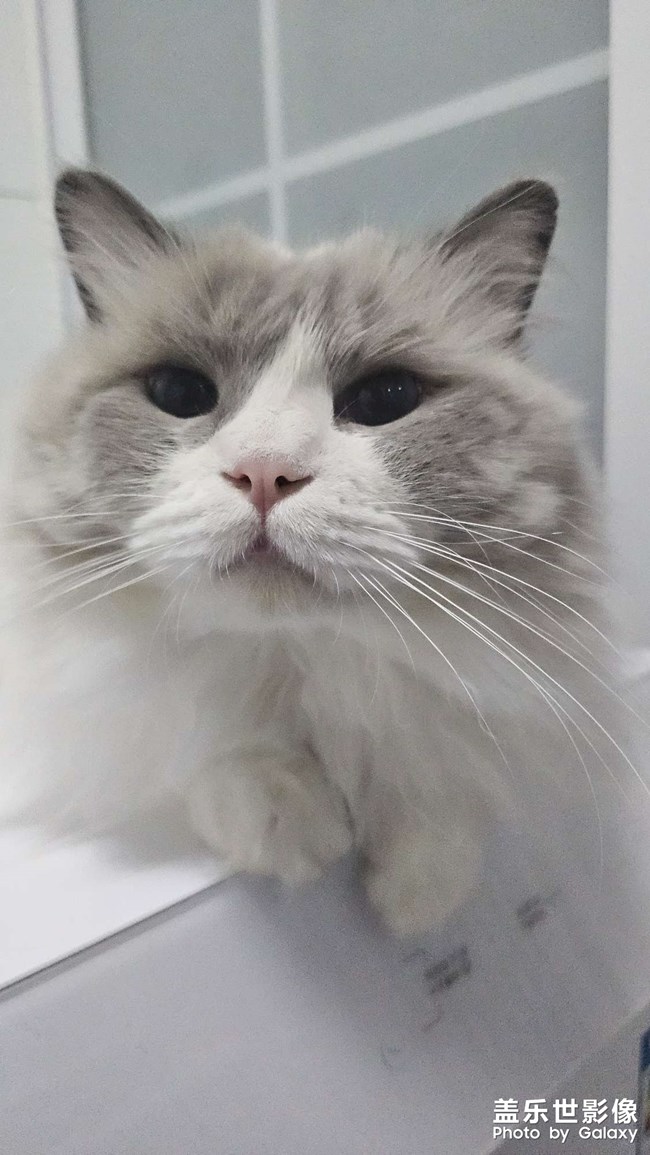 快樂隨拍——憨憨小西瓜