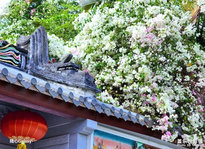 【難忘2023】隨手拍